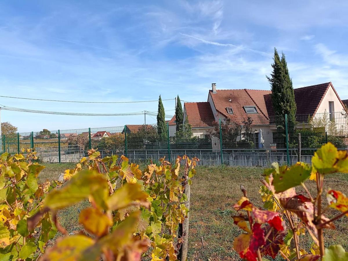 Villa Des Climats Bourgogne Марсанне-ла-Кот Экстерьер фото